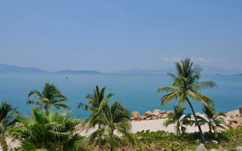 Bãi biển