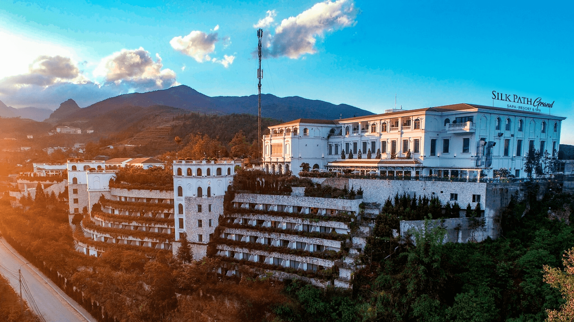 Tổng thể