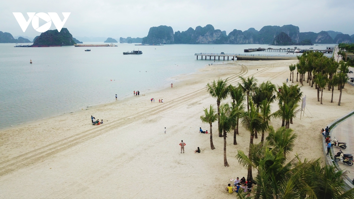 Bãi biển