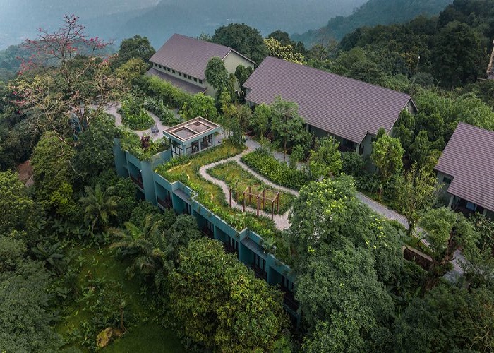 Tổng quan