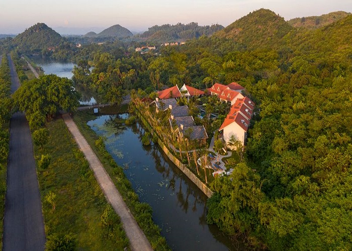 Tổng thể