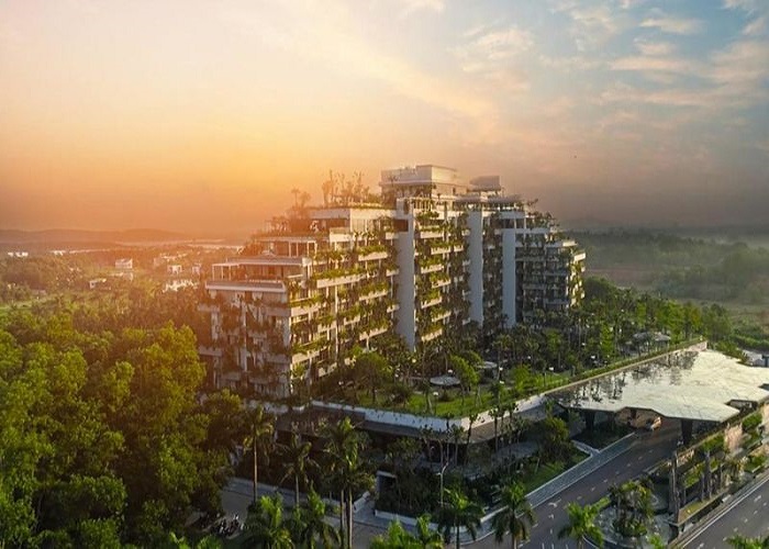 Tổng thể