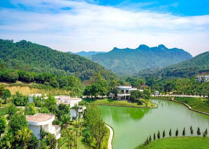Tổng thể