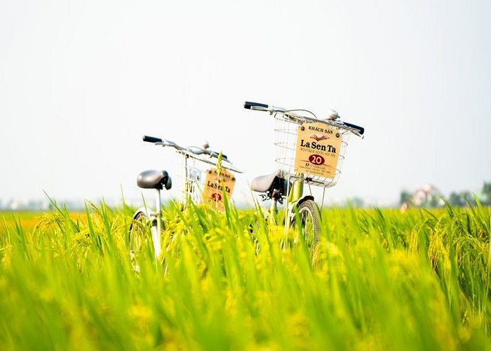 Danh lam thắng cảnh biển
