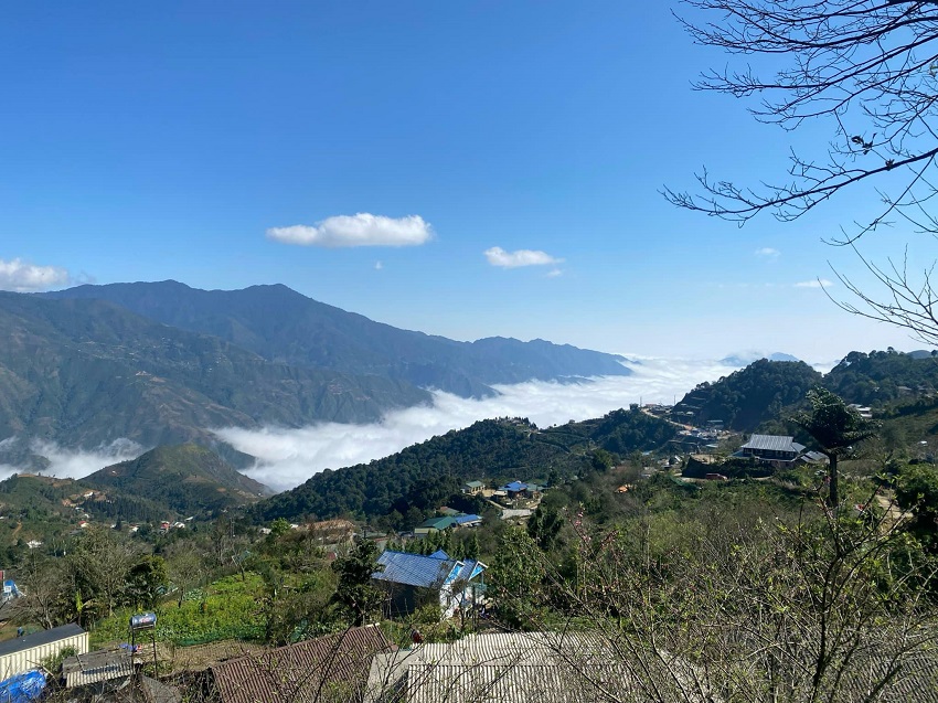 Tổng quan