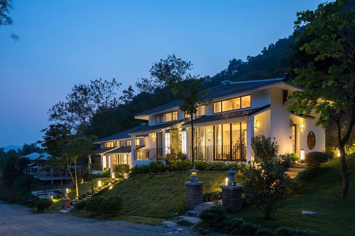 Tổng thể