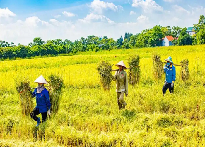 Danh lam, thắng cảnh biển