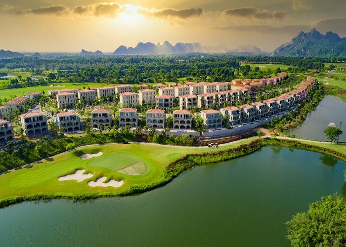 Tổng thể