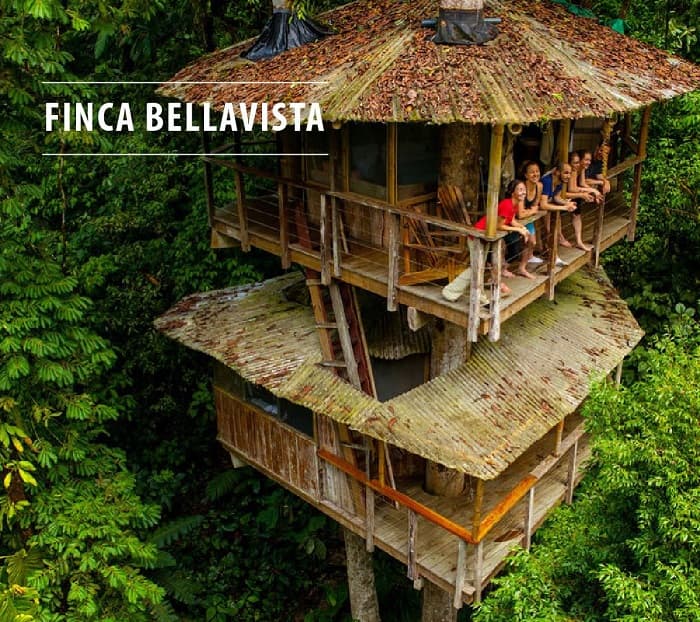 khu nghỉ dưỡng Finca Bellavista nằm giữa rừng nhiệt đới