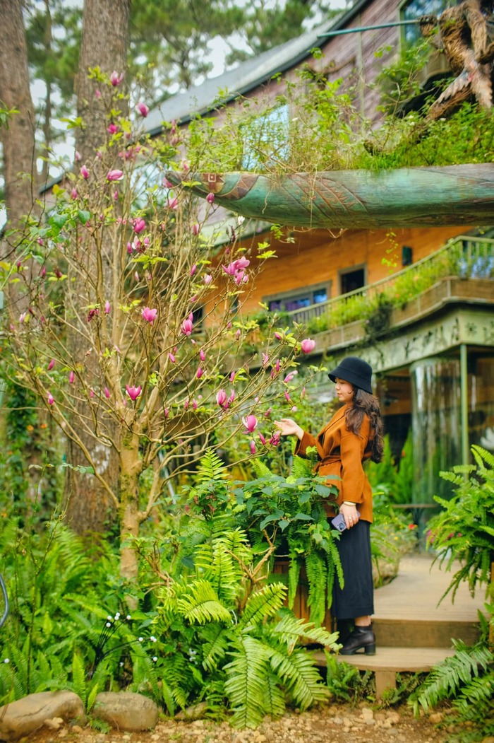 homestay chất lượng ở Măng Đen được bao bọc trong không gian sân vườn xanh mát