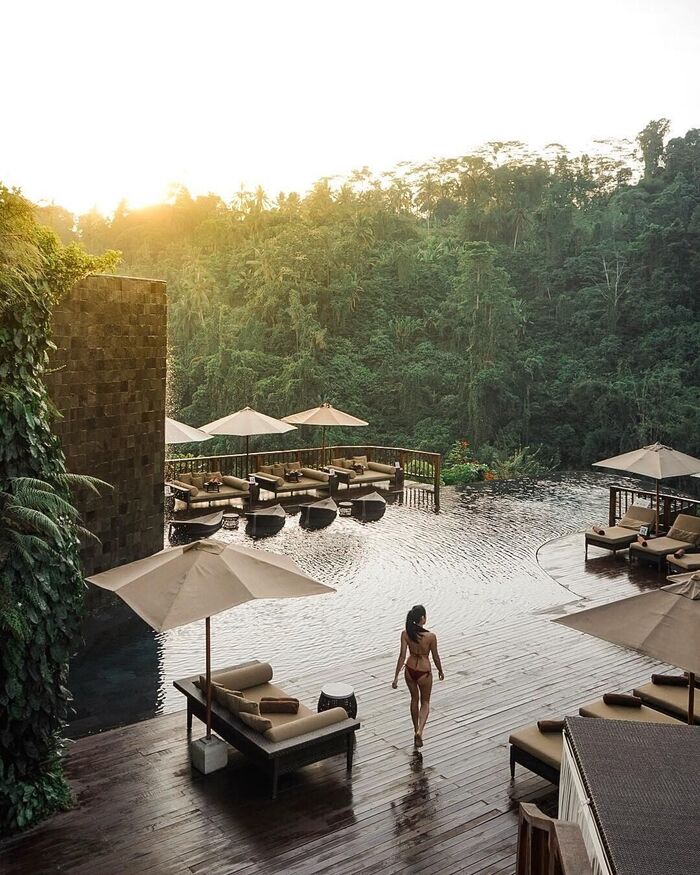Ấn tượng với ‘vườn treo’ đẹp như tranh vẽ - Hanging Gardens Of Bali thơ mộng giữa lòng núi rừng hoang sơ