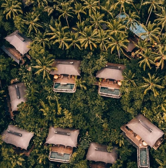 'Thả hồn' giữa thiên nhiên ở resort Capella Ubud nằm sâu trong rừng ở Bali