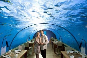 Poseidon Undersea Resort, một khách sạn dưới biển vượt lên những điều phi lý để tạo nên điều phi thường