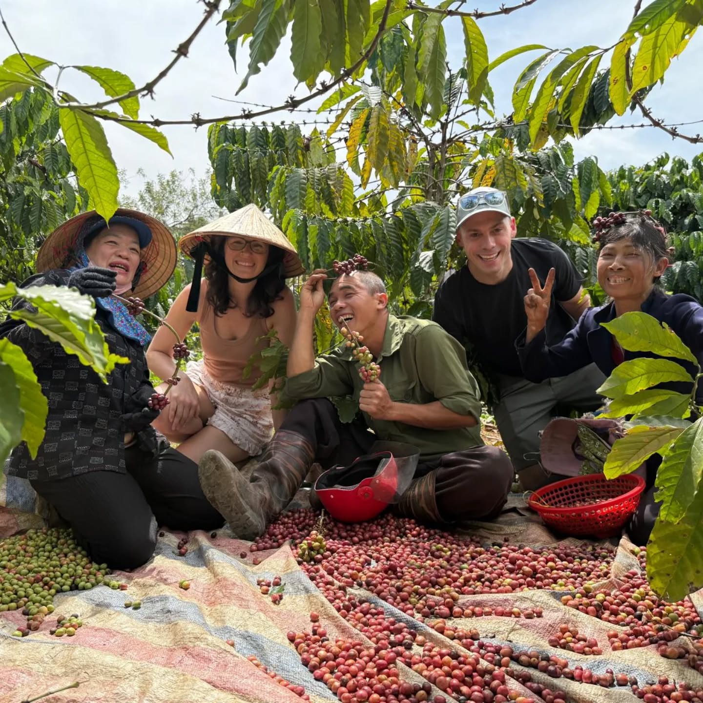 Elon Coffee Farmstay