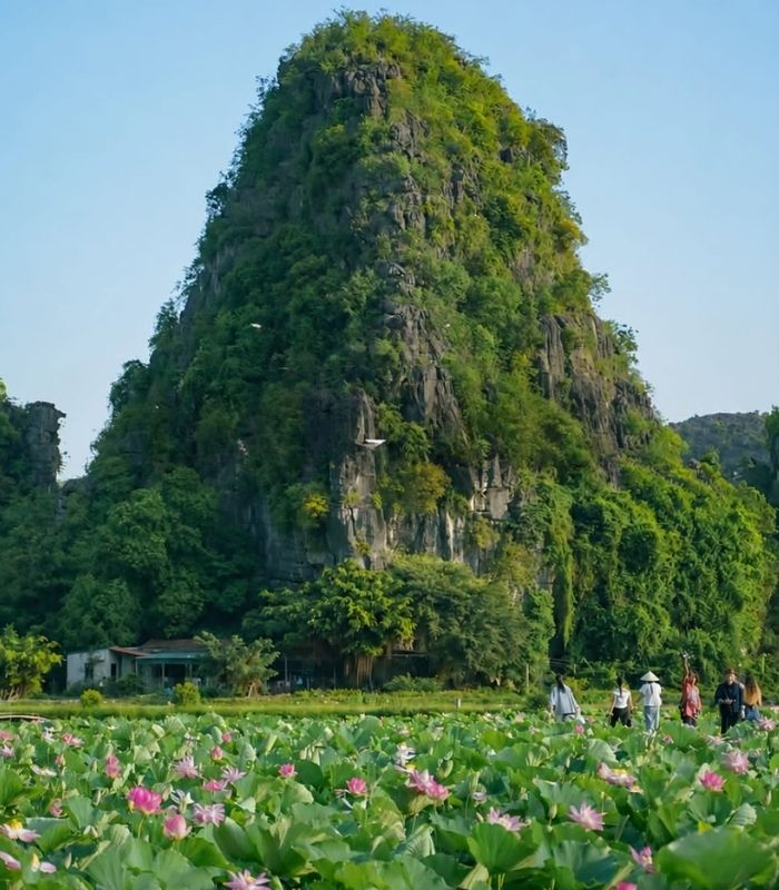 Vị trí Hang Múa Ecolodge