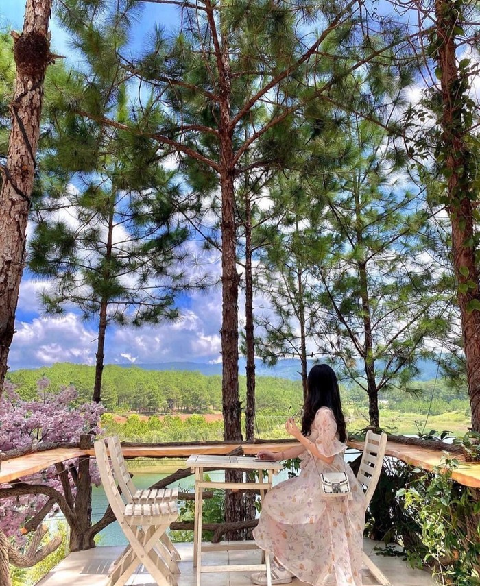 khung cảnh thiên nhiên ở khách sạn gần hồ Tuyền Lâm Đà Lạt